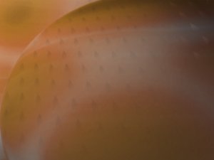 社交电商与企业管理：数字化转型的关键一环